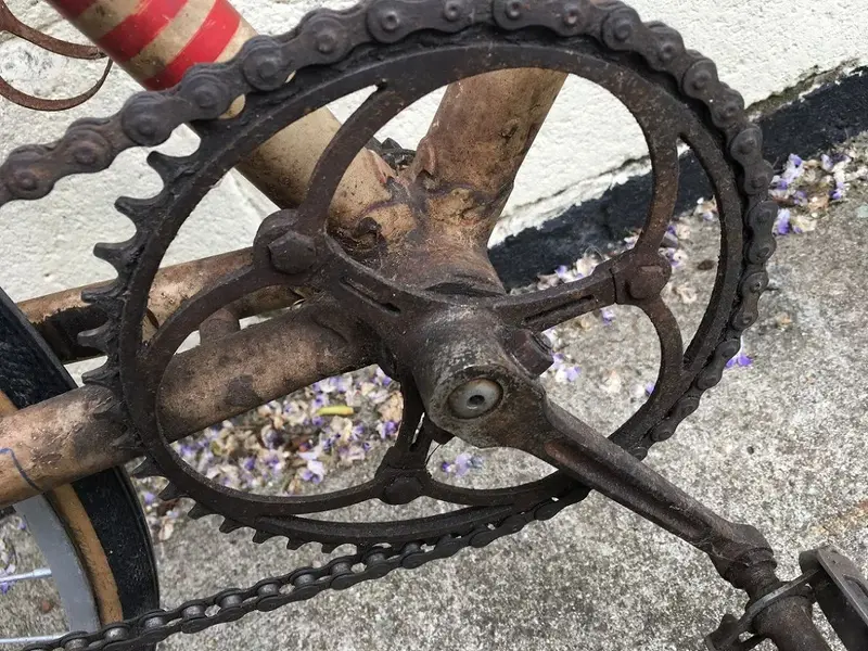 '49 Path 15.webp