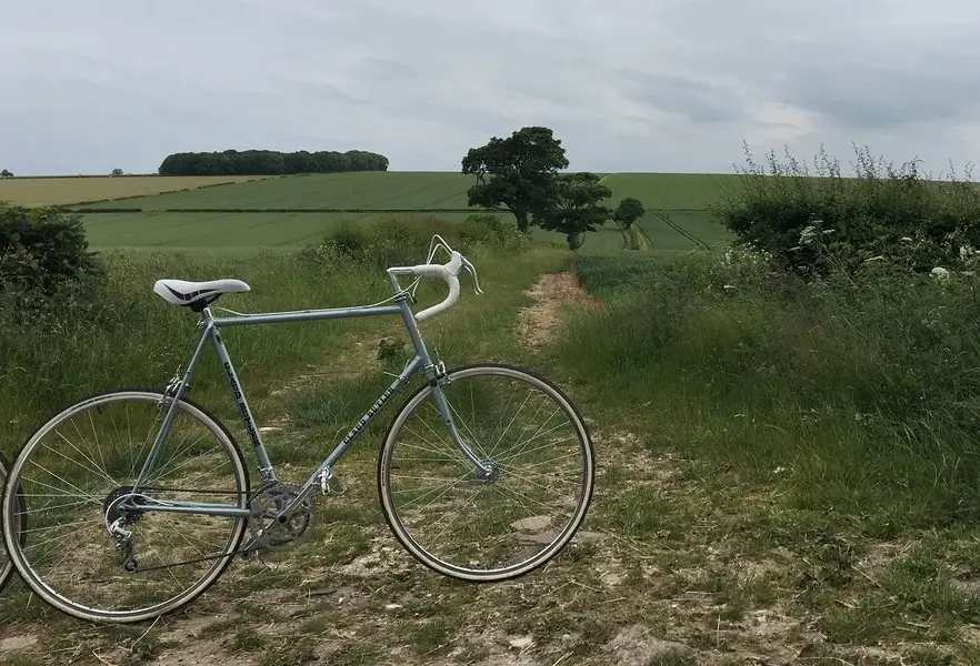 Track and Hedgerow.webp