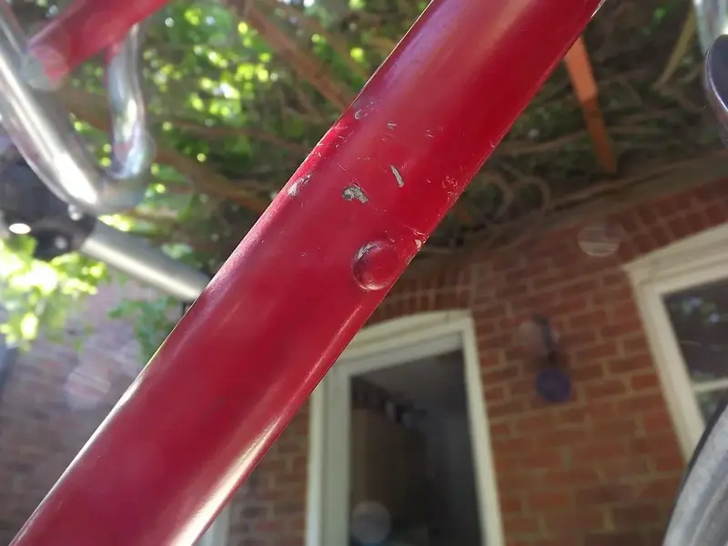 DSCF3081.webp