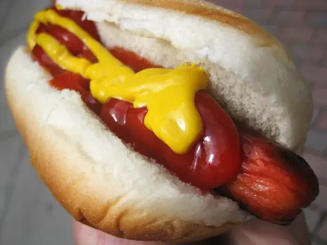 15-hotdog-ketchup-and-mustard.webp
