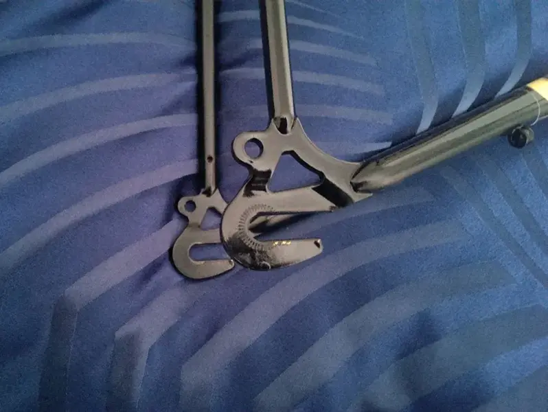 IMAG1656.webp