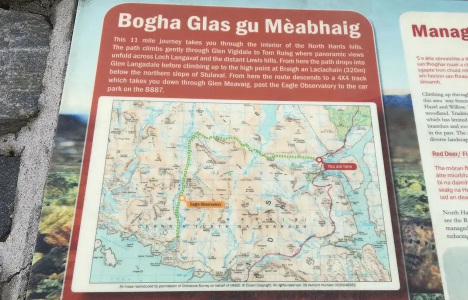 boghaglas.webp