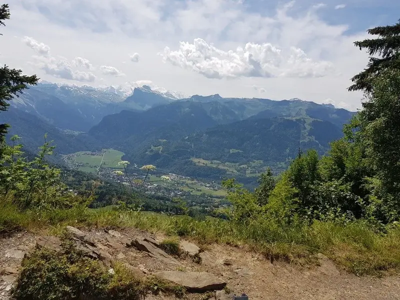 20180716_121648-1024x768.webp