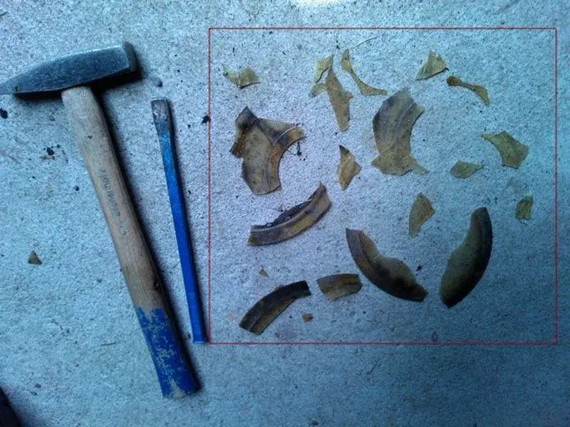 THM Free Jigsaw Puzzle.webp