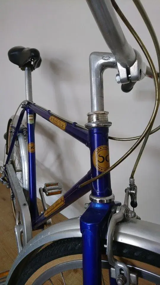 DSC_0501-540x960.webp