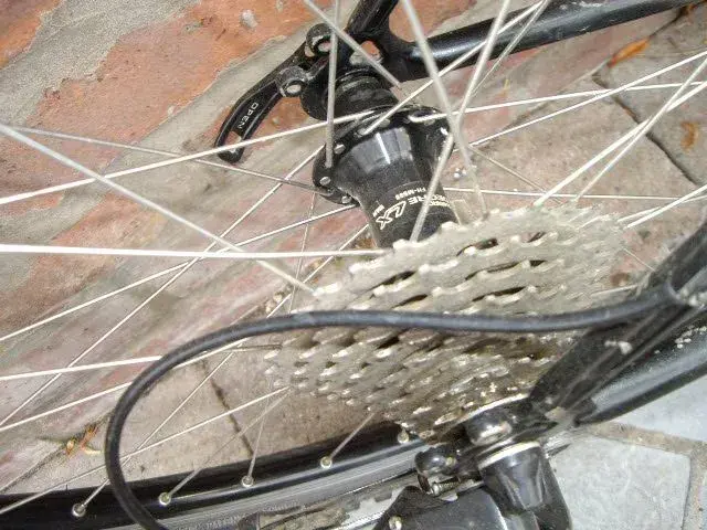 IMGP1460.webp