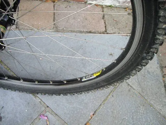 IMGP1462.webp