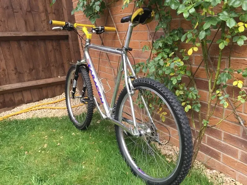 Saracen (10) R.webp