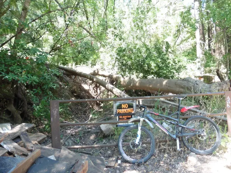 Trail Head.webp