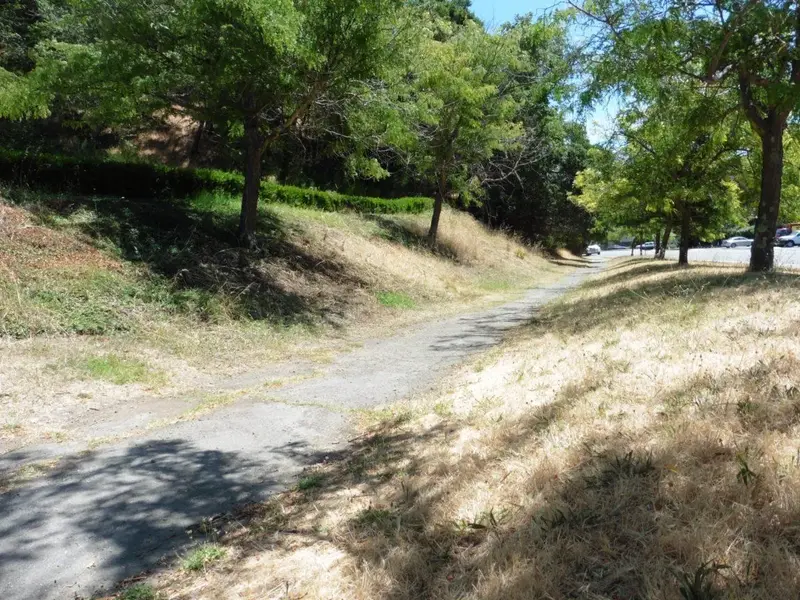 Bike Path.webp