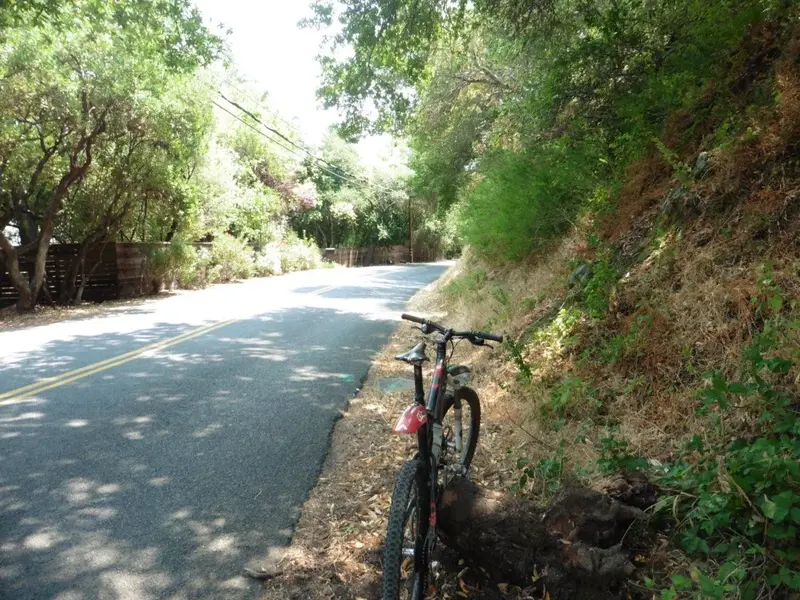 Olema Road.webp