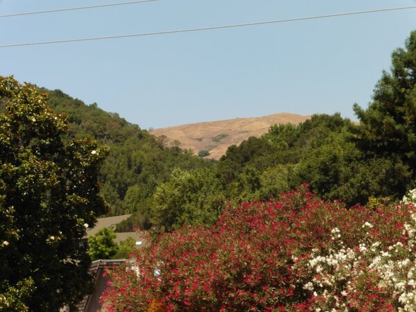 Hills of Marin-2.jpg