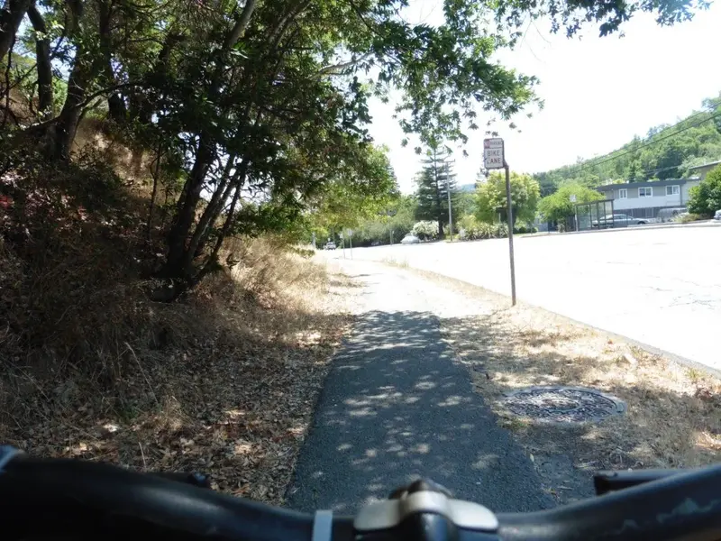 Bike Path-2.webp