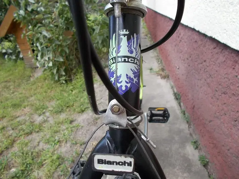 DSCN0420.webp