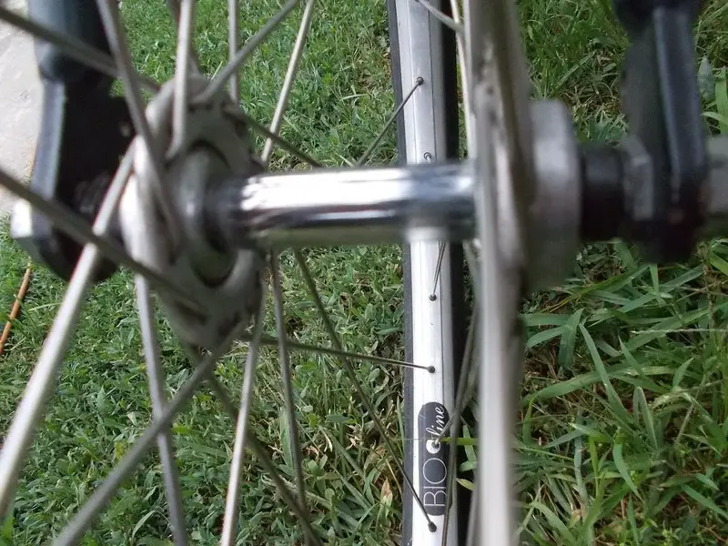 DSCN0430.webp