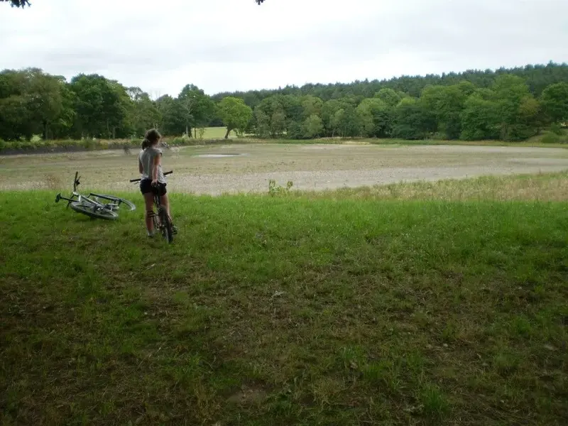 P1010936 (Medium).webp