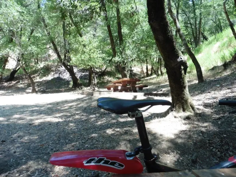 Picnic grounds.webp