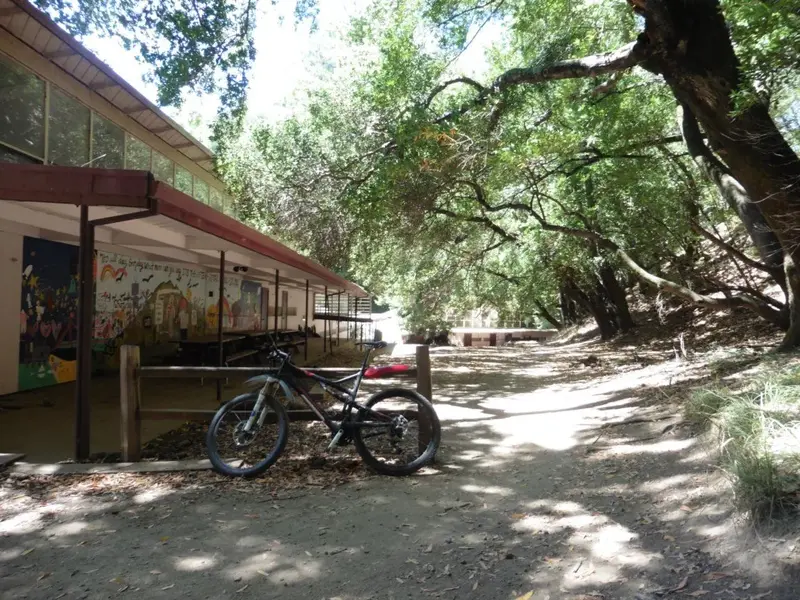 Deer Park school.webp