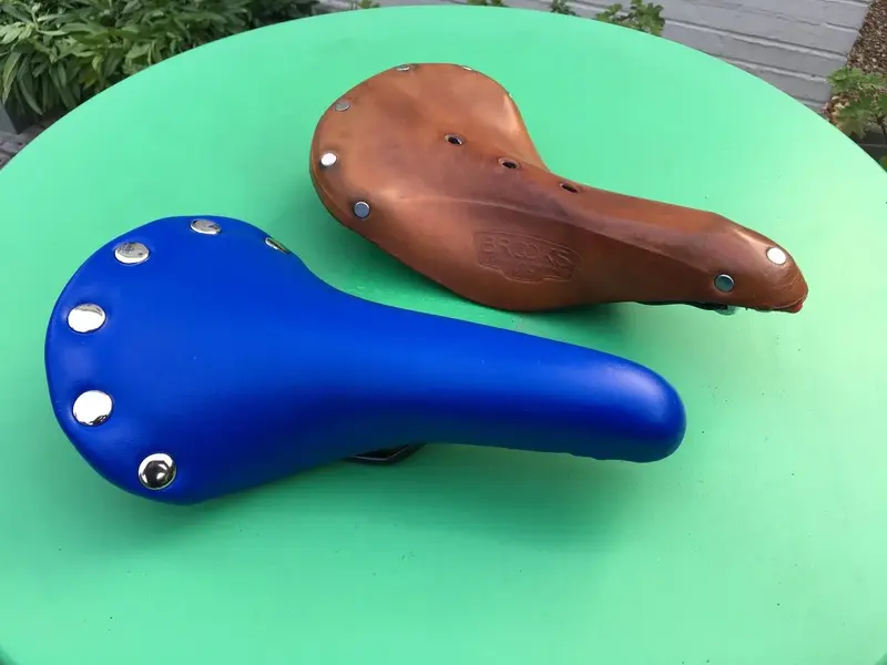 WhichSaddle.webp
