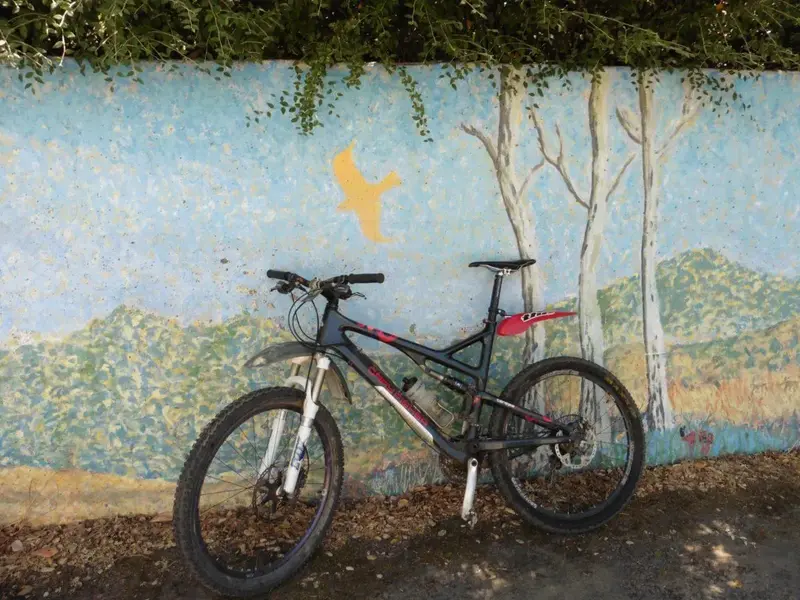 Mural.webp
