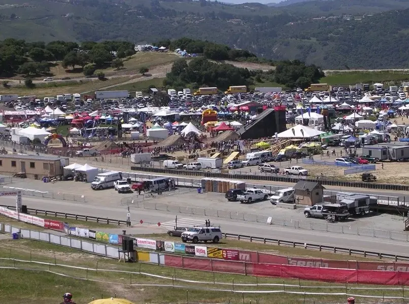 Sea_Otter_infield.webp