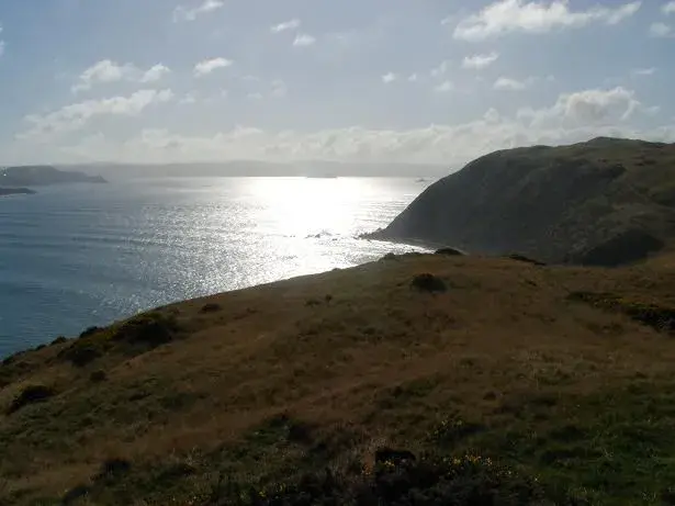Wellington Harbour.webp
