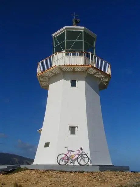 Pencarrow Light House.webp