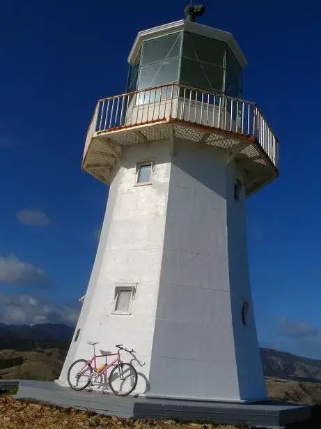 Pencarrow Lighthouse.webp