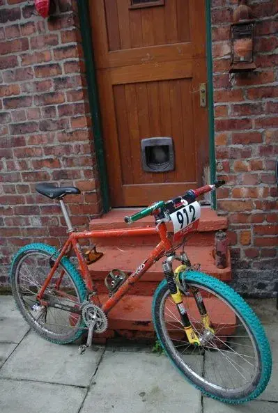 Ibis raced.webp