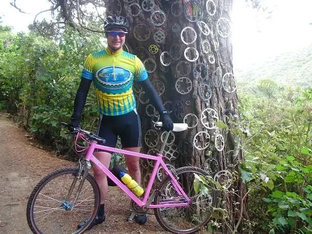 Chainring Tree.webp