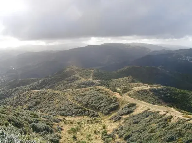 Singletrack Heaven, Makara Peak.webp