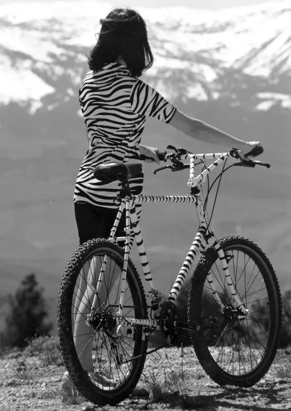 Stripes.webp