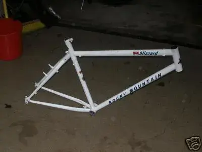 2174_1.webp