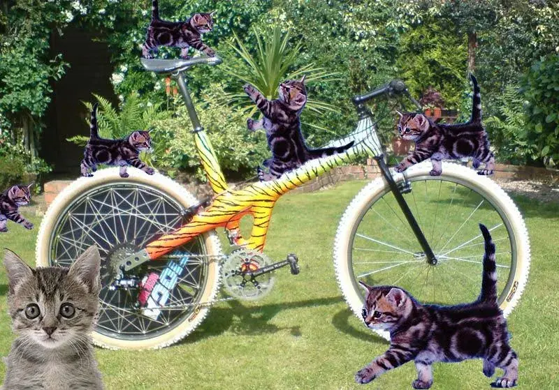 wot.webp