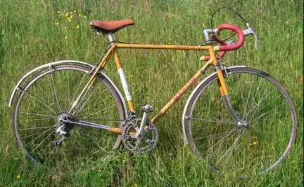 RIMG0210b.webp