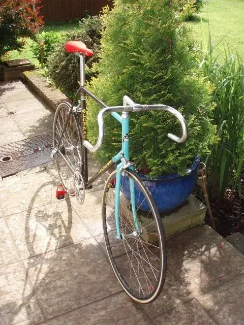 Colnago Saronni Front View.webp