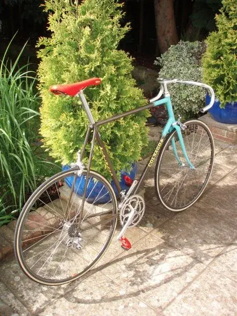 Colnago Saronni Rear View.webp