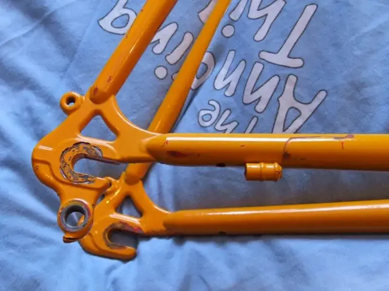 DSCF5159.webp