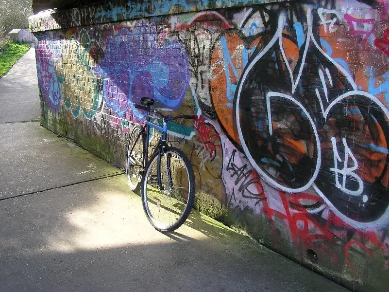 orbea 003 (Medium).webp