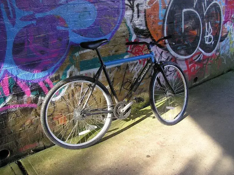 orbea 001 (Medium).webp