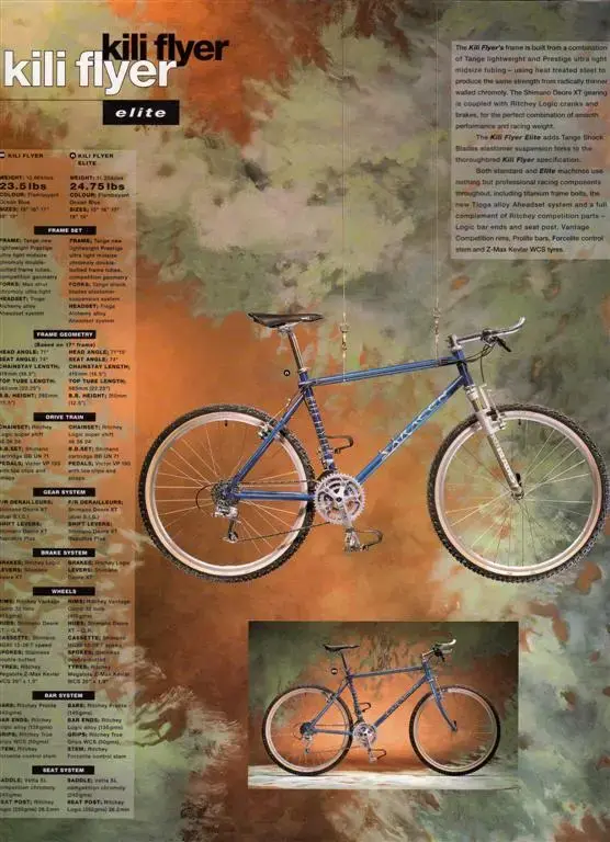 imgsaracen015 (Large).webp