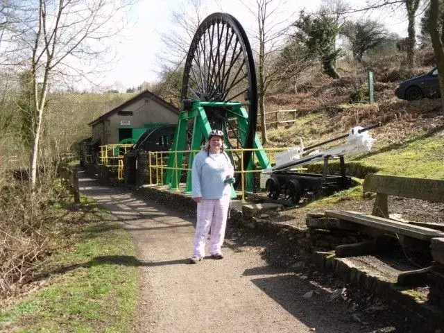 Lollipops at Afan Argoed Country Park.webp