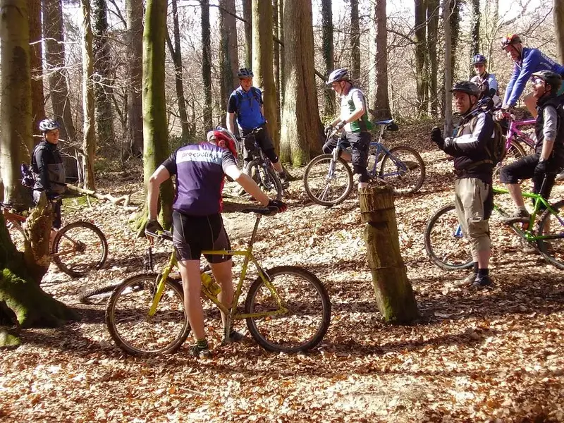 Forest of Dean ride 1.webp