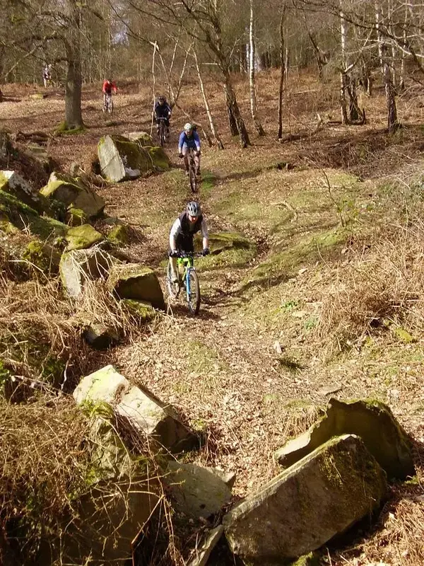 Forest of Dean ride 2.webp