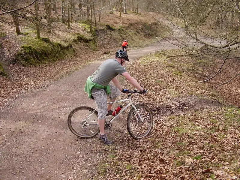 Forest of Dean ride 3.webp