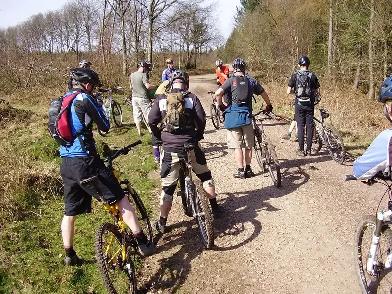 Forest of Dean ride 5.webp