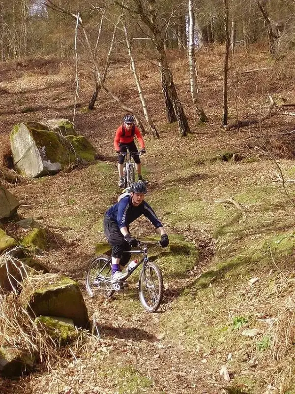forest_of_dean_ride_010_195.webp