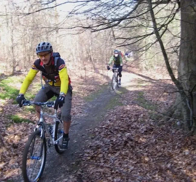 retro forest of dean.webp
