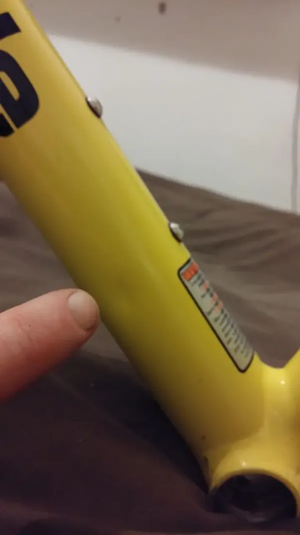 m8006.webp