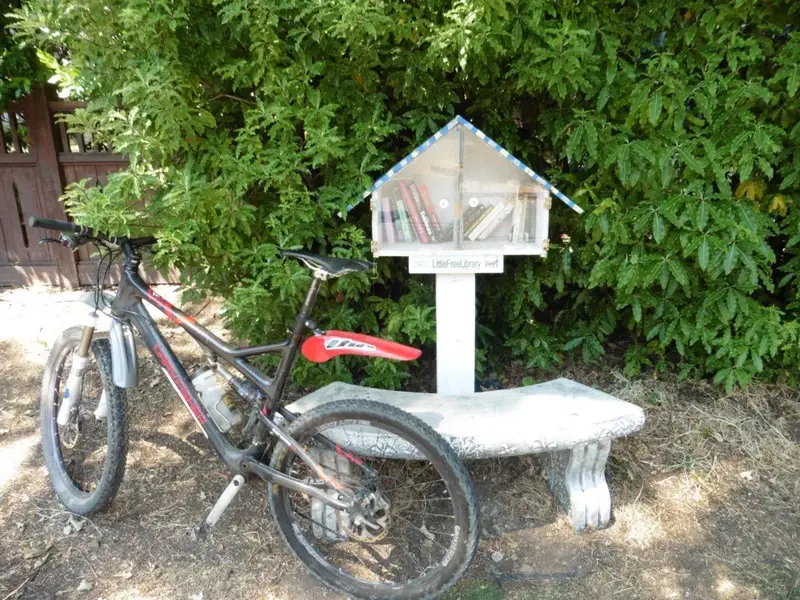 Neighborhood free library.webp